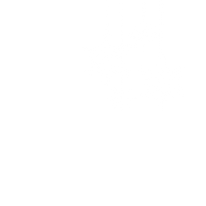 christmas decorations XMAS snowflake