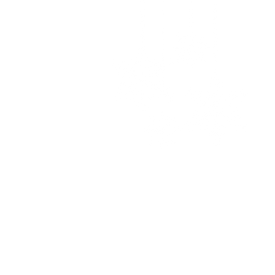 christmas decorations XMAS snowflake