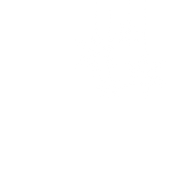 christmas decorations XMAS snowflake