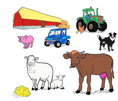 colour in farmyard gifts