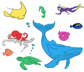colour-in under the sea gifts